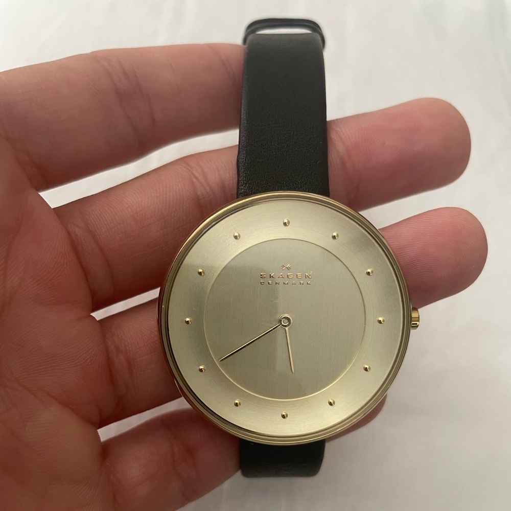 Skagen Watch